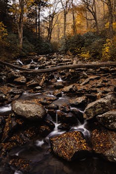 Tranquil autumn stream flowing through a forest with vibrant fall foliage and rocks.