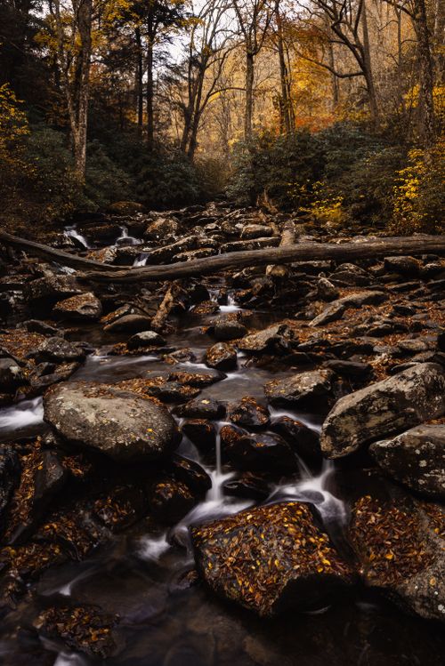 Free Tranquil autumn stream flowing through a forest with vibrant fall foliage and rocks. Stock Photo