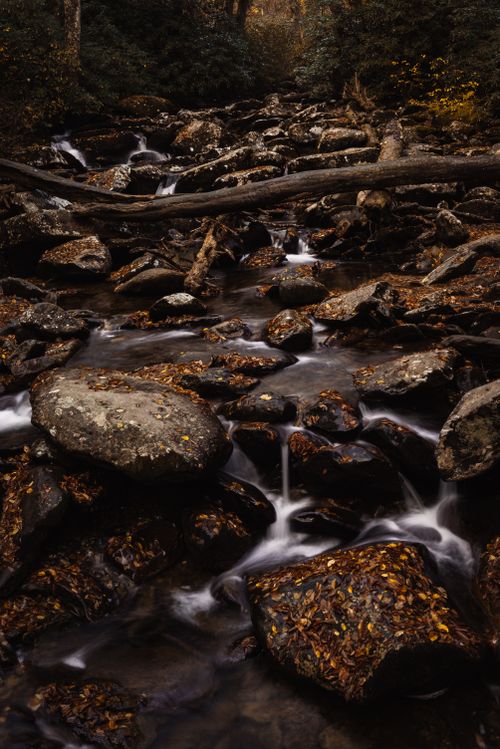 Free A tranquil creek in autumn flows over rocks surrounded by fall foliage, creating a serene atmosphere. Stock Photo