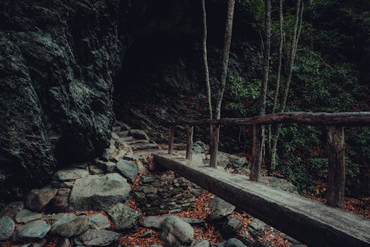 A rustic wooden bridge over rocky terrain, surrounded by a dense forest in autumn.