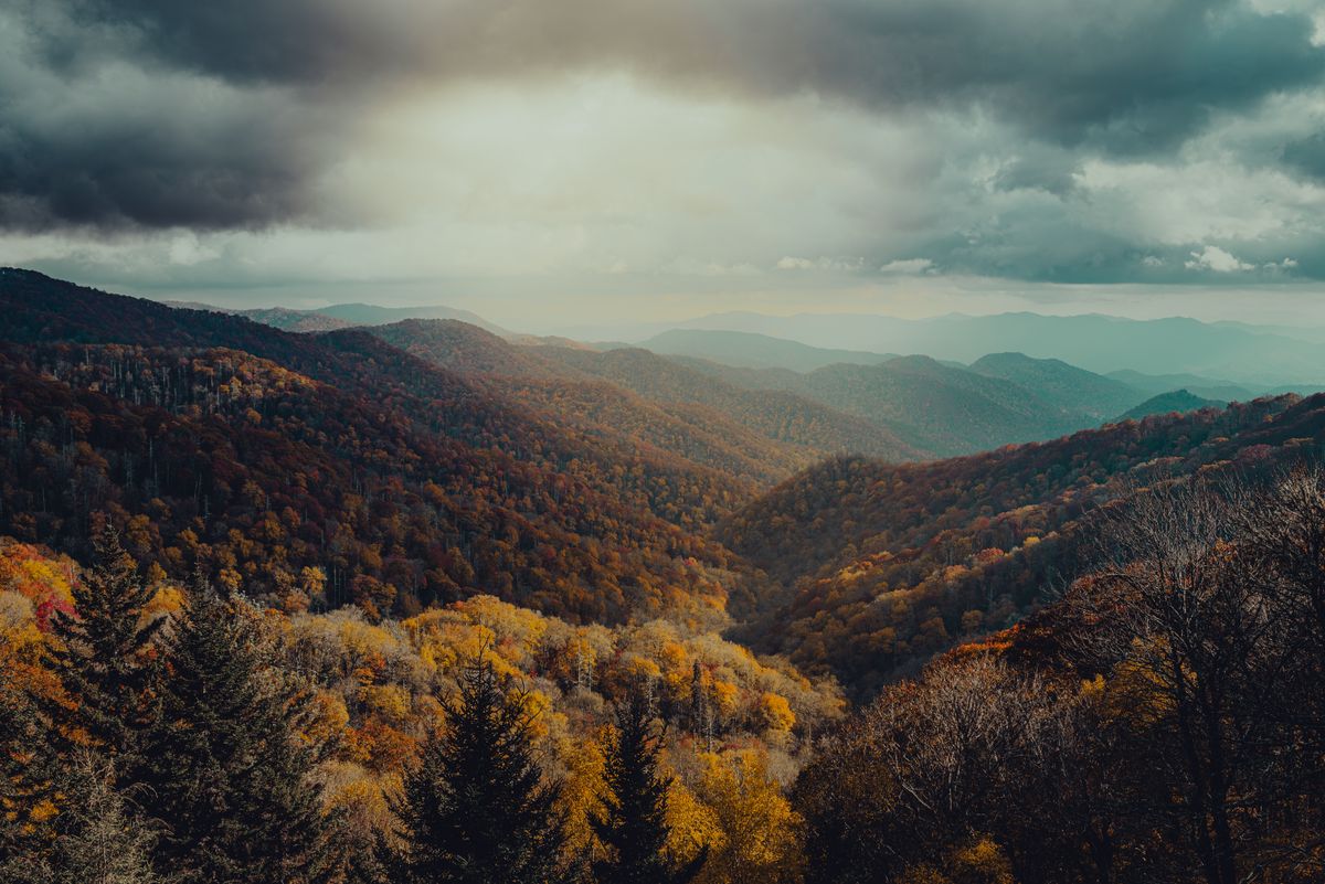 Breathtaking autumn mountain range with golden foliage in Peak District