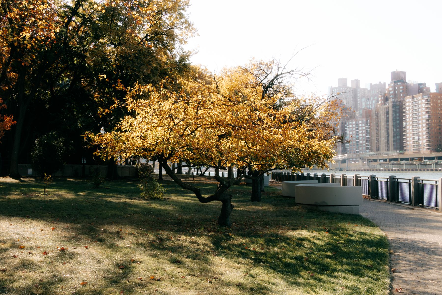 Autumn in Bethlehem, New York: Walks, Food and Stays