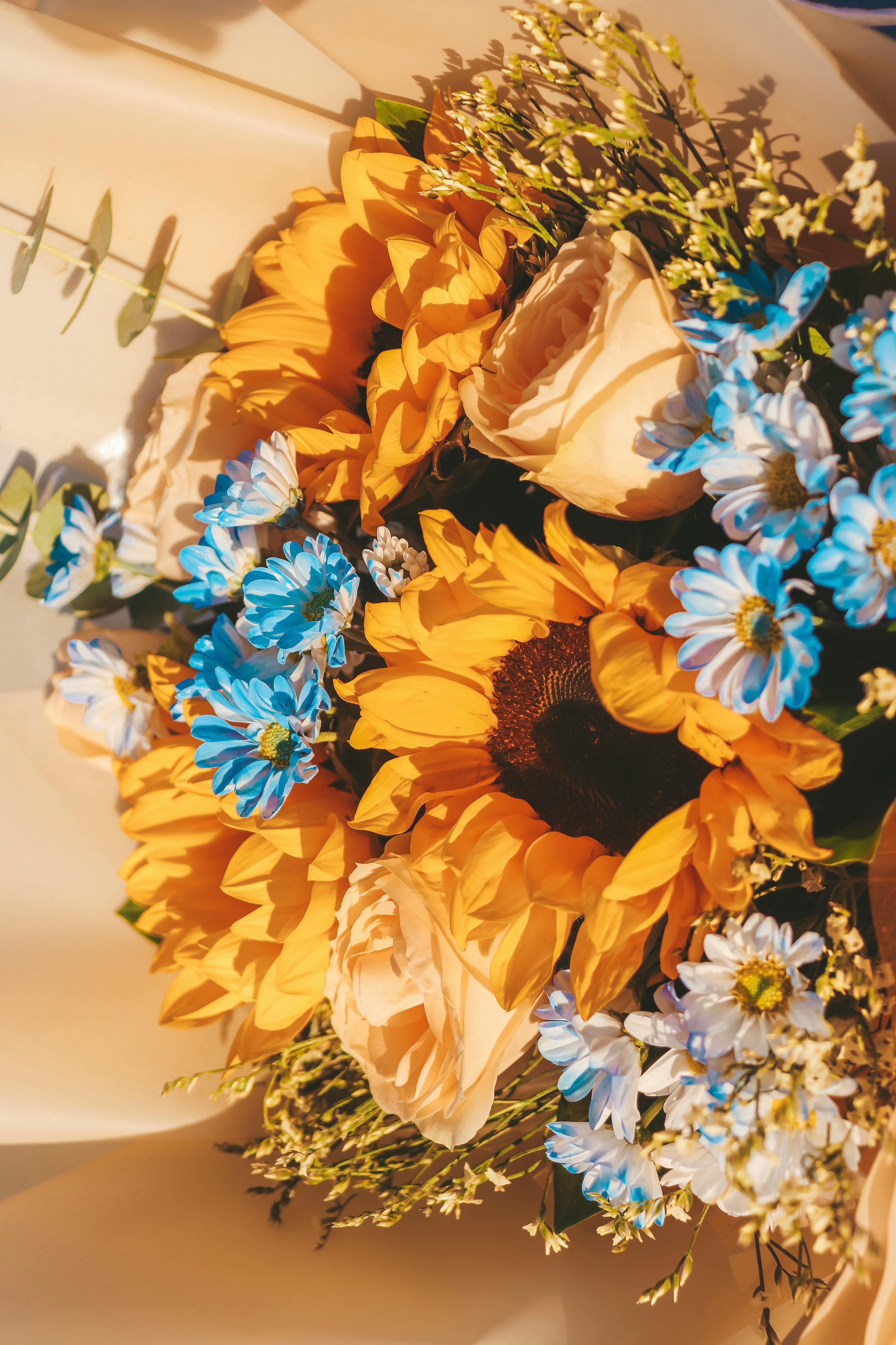 Vibrant Sunflower and Blue Daisy Bouquet Close-up · Free Stock Photo, image size:4000x6000