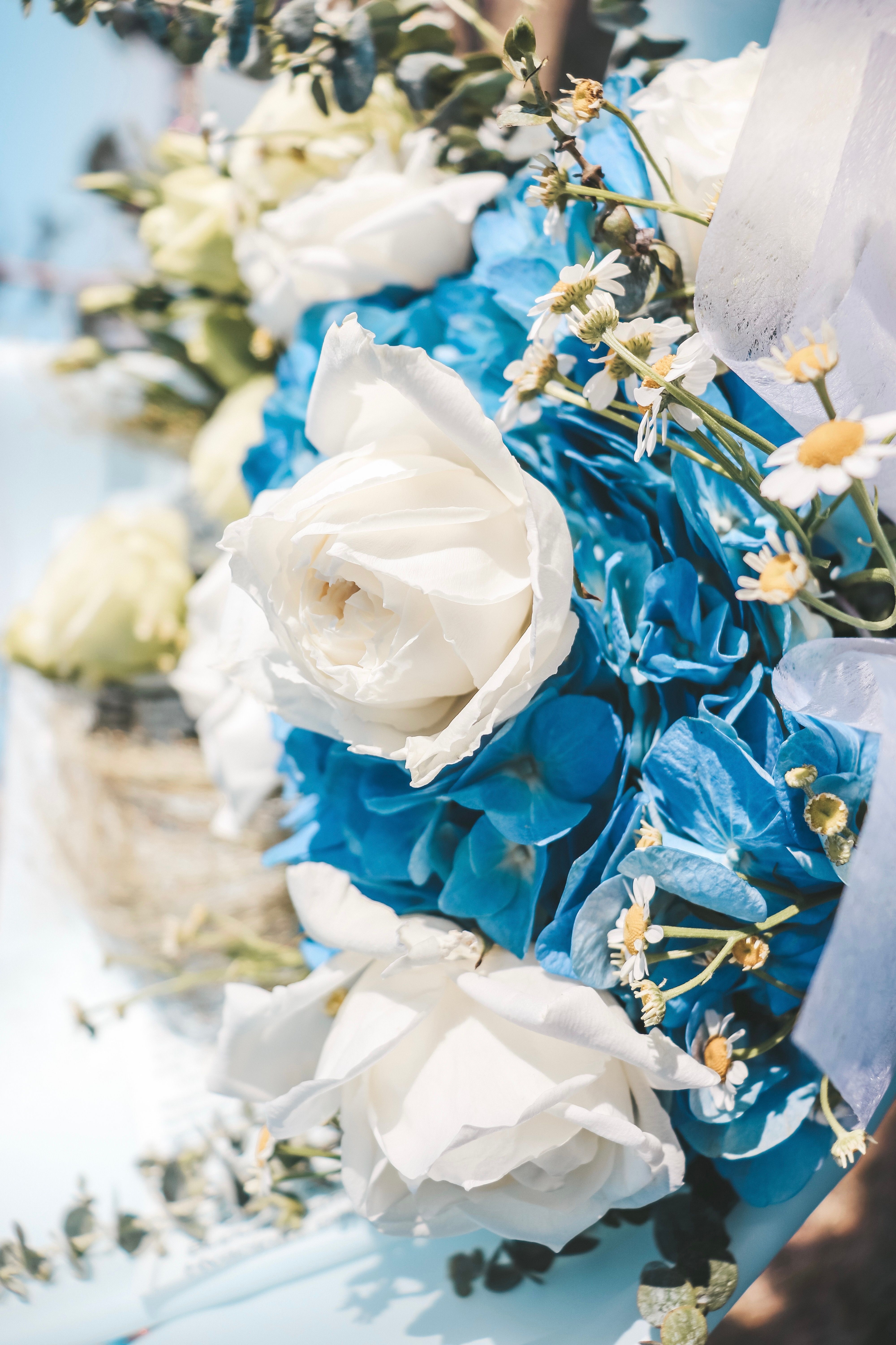 Fotomural Un ramo bellamente arreglado de rosas blancas y hortensias azules con detalles de margaritas.