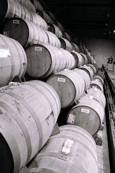 Row of wooden aging barrels inside a distillery in Tequila, Mexico.