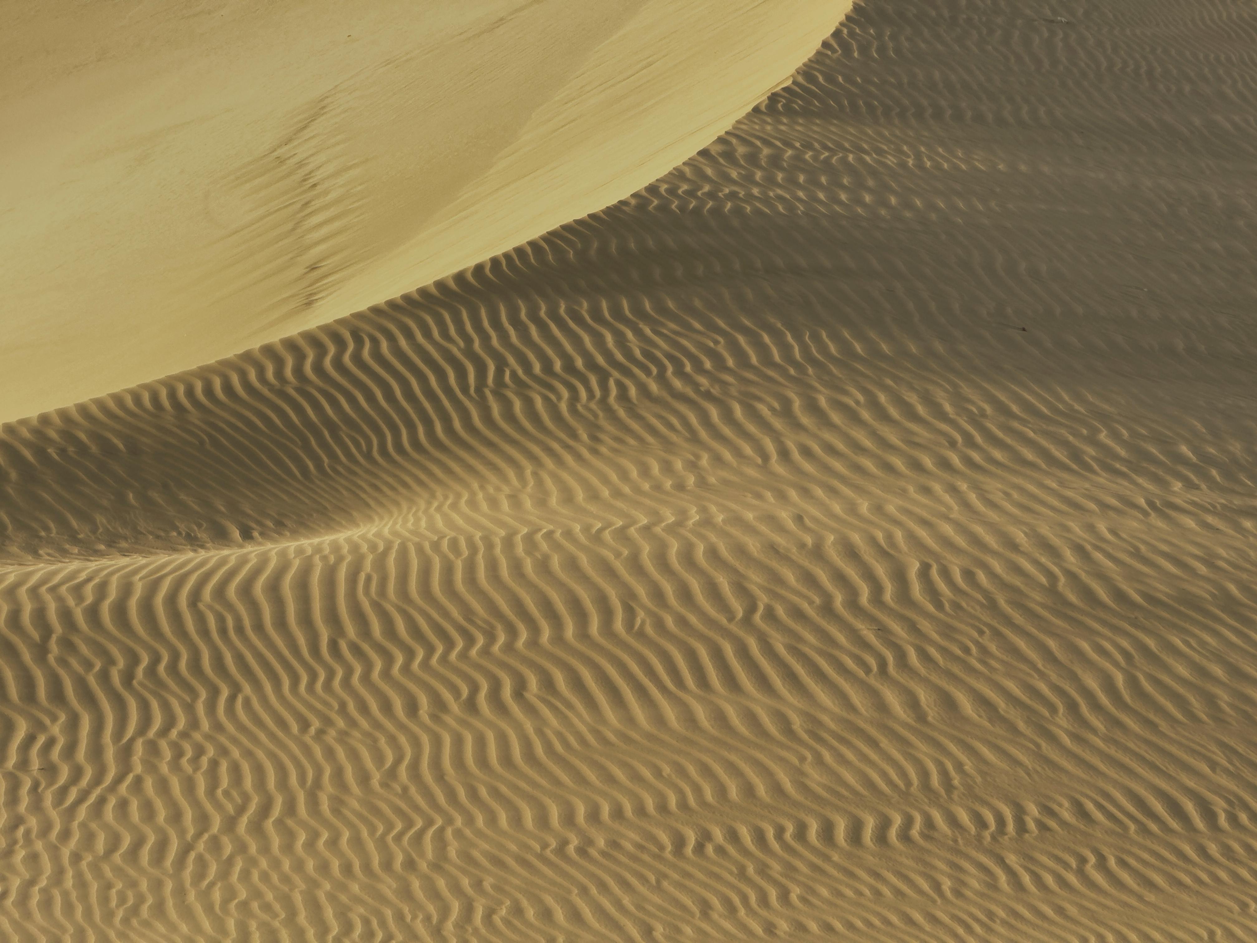 De franc Dunes De Sorra Daurada Amb Patrons Ondulats Foto d'estoc