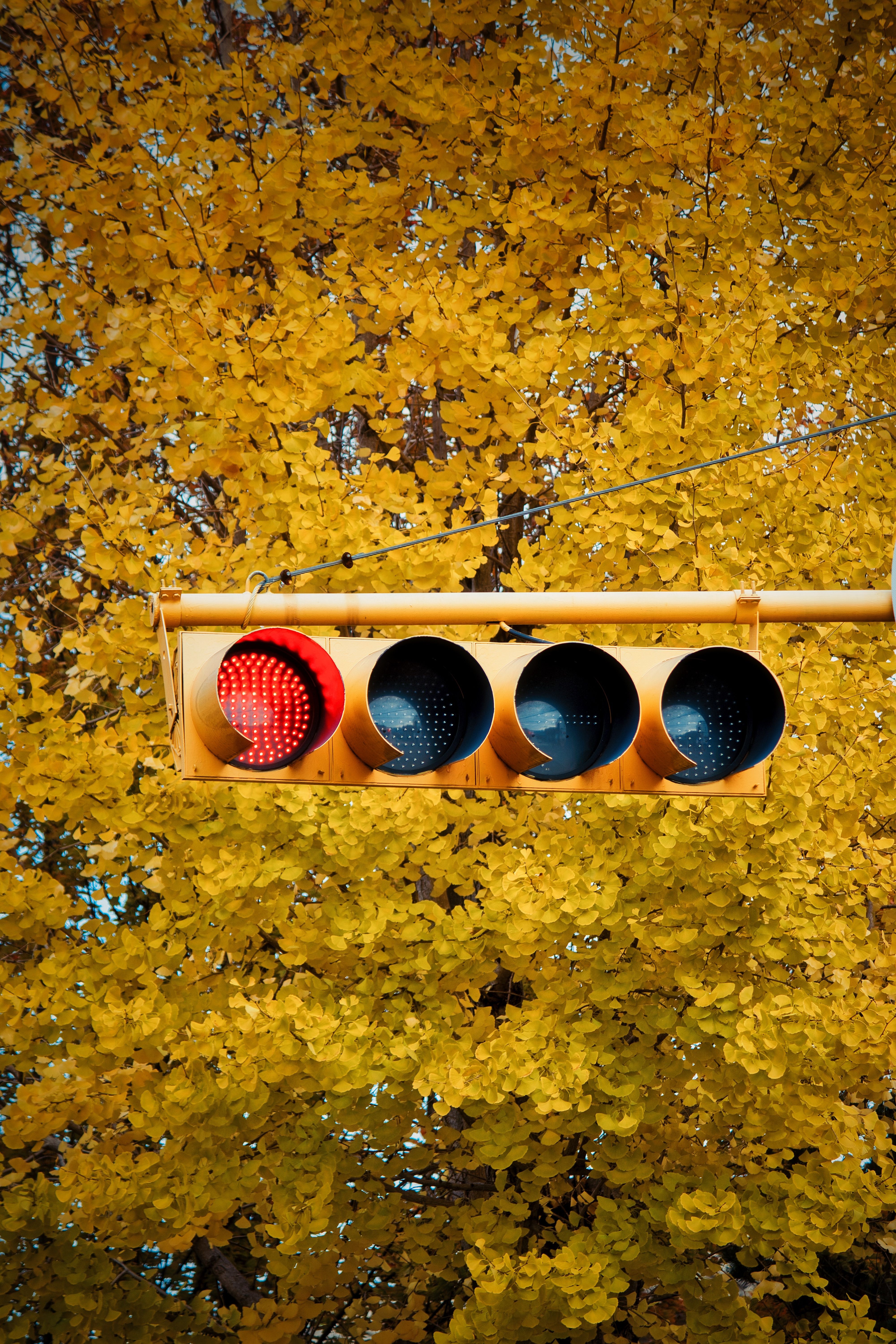 Fotomural Fotolia