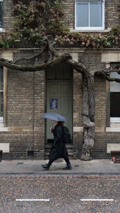 Free A solitary figure walks with an umbrella past an ivy-adorned brick building on a rainy day. Stock Photo