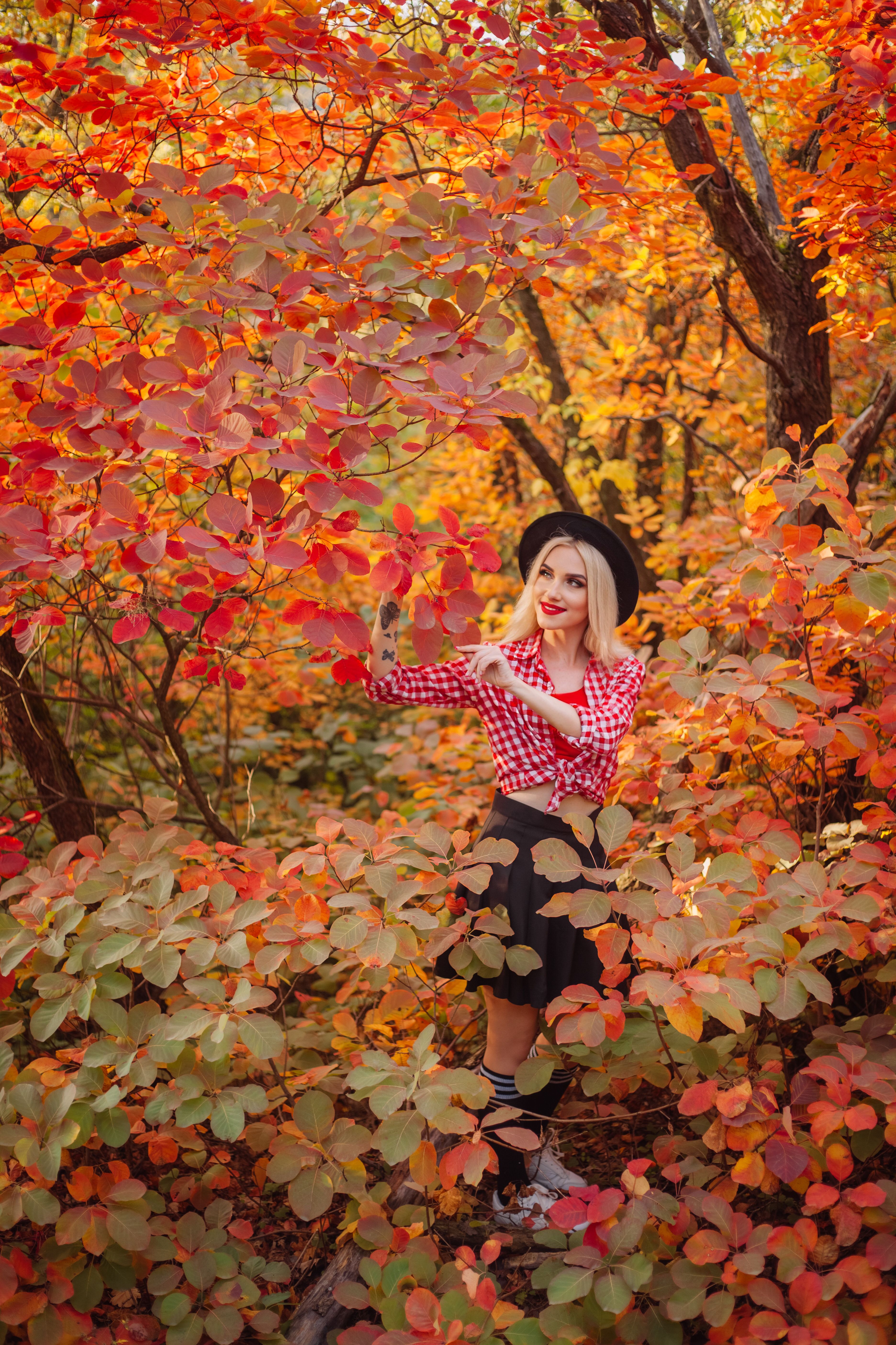 Woman in Autumn Forest with Vibrant Foliage · Free Stock Photo
