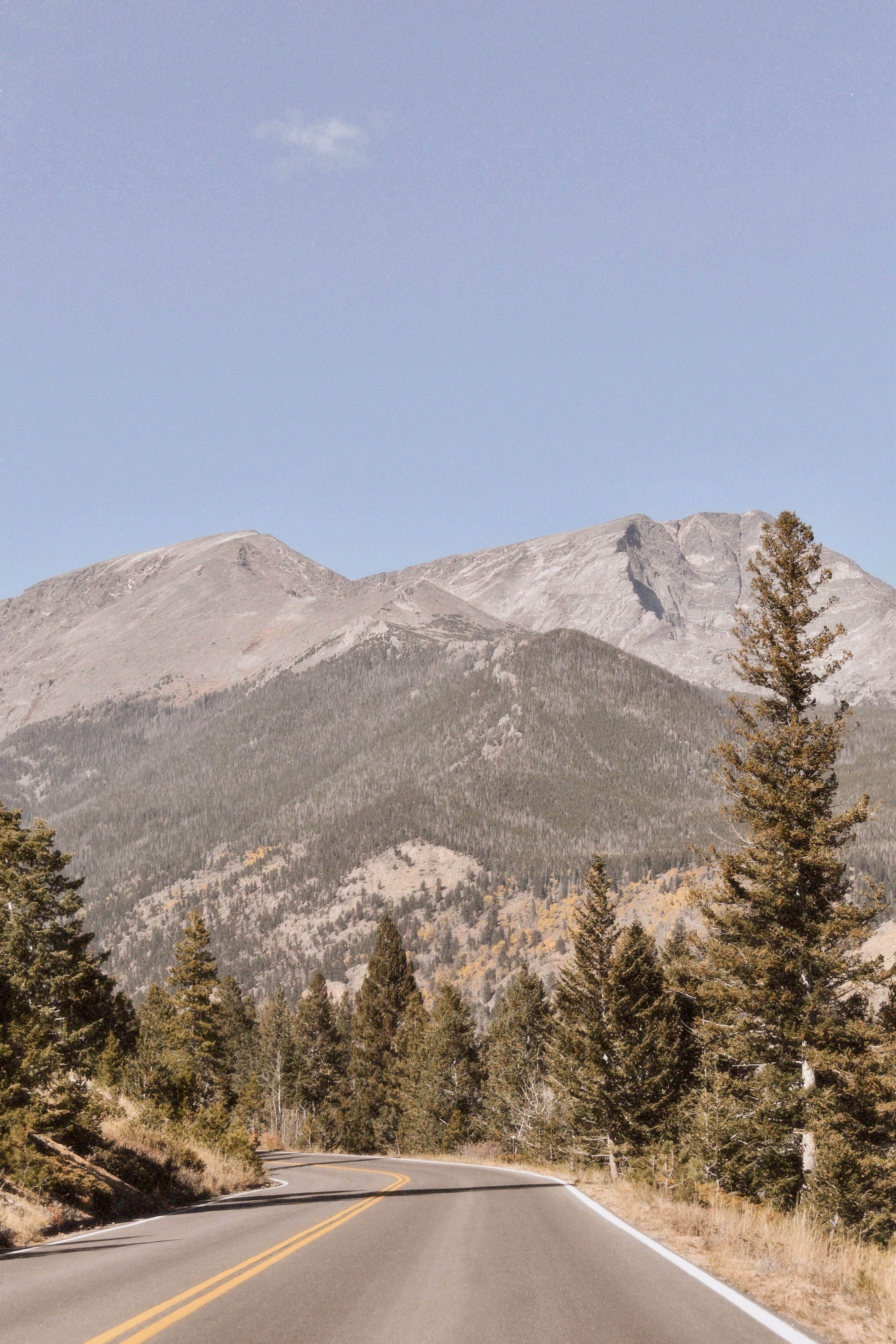 Scenic Mountain Road in Evergreen Forest · Free Stock Photo