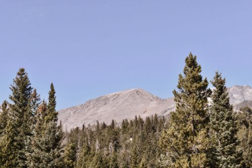 Free Serene mountain landscape with pine trees under a clear blue sky. Stock Photo