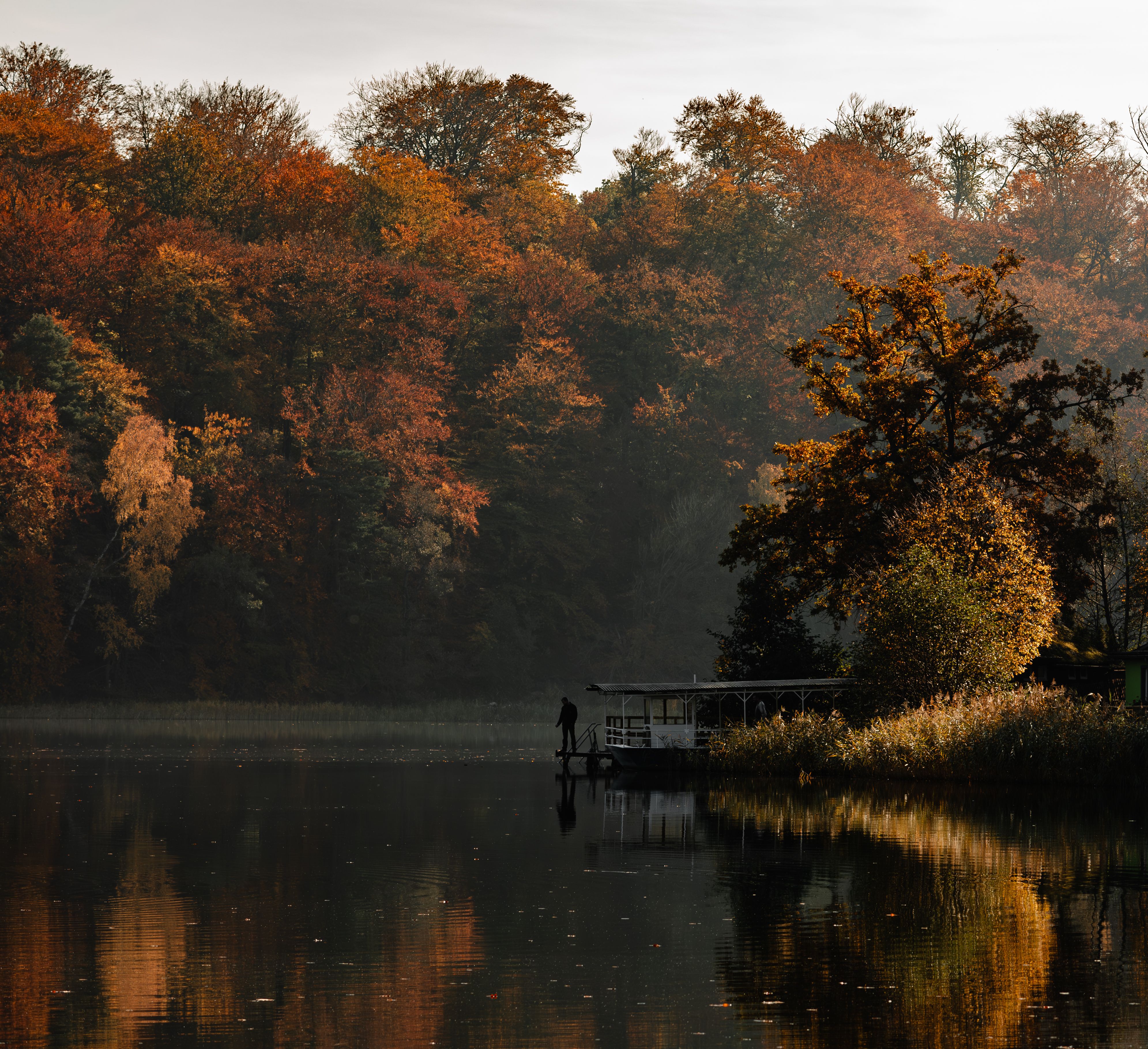 Serene Autumn Lake Scene with Vibrant Foliage · Free Stock Photo