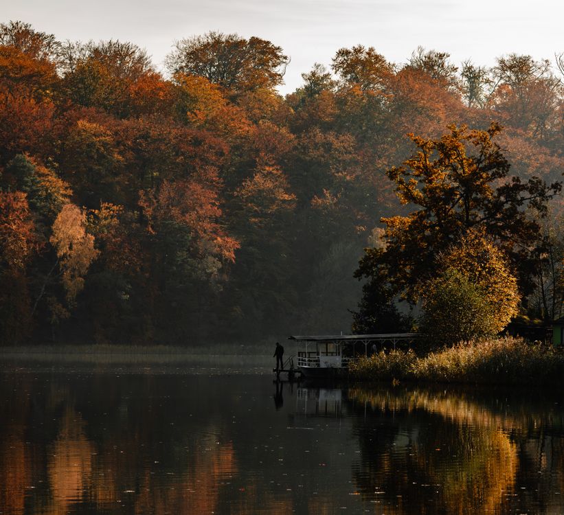 Serene Autumn Lake Scene with Vibrant Foliage · Free Stock Photo