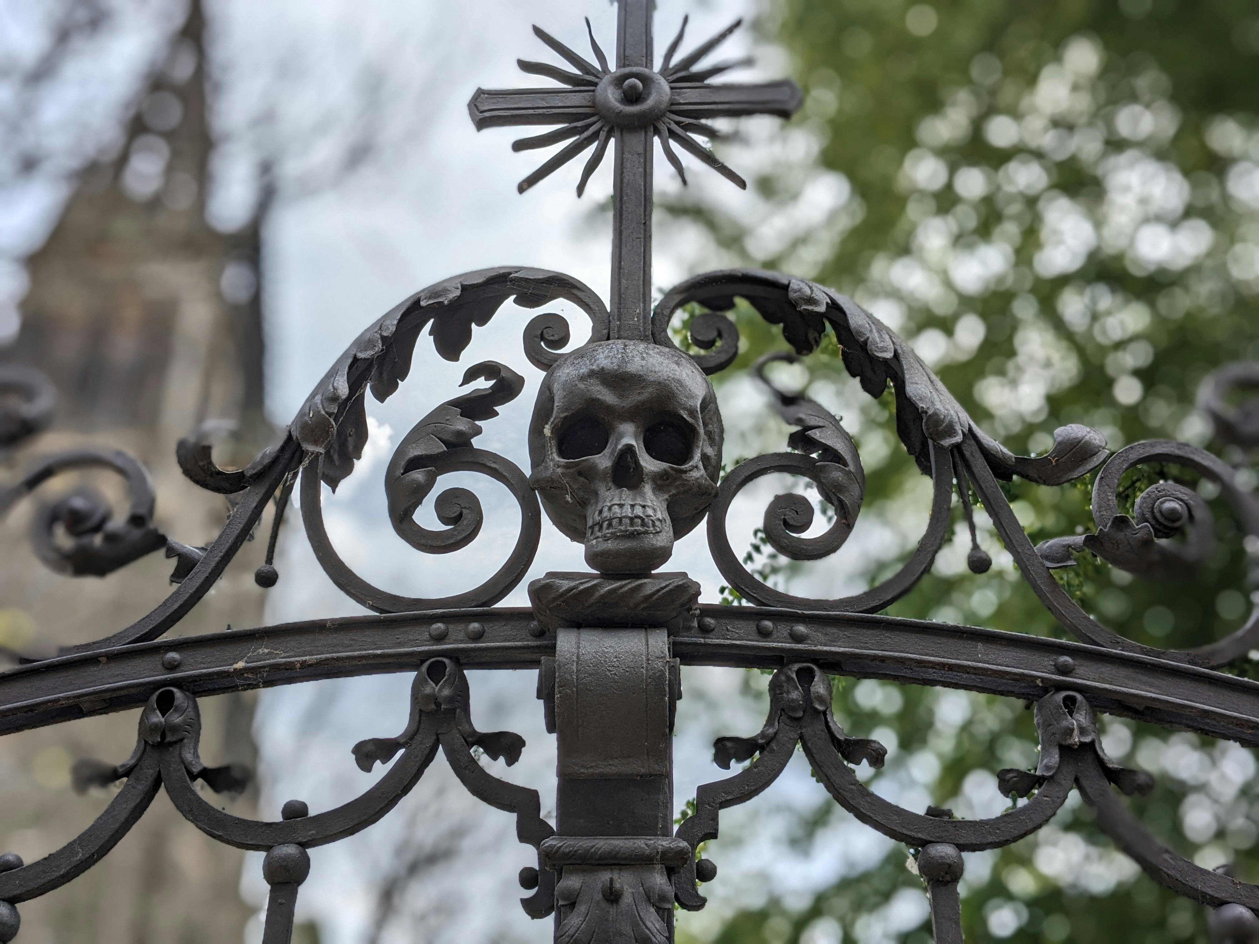 Ankali: The Alchemical Forge