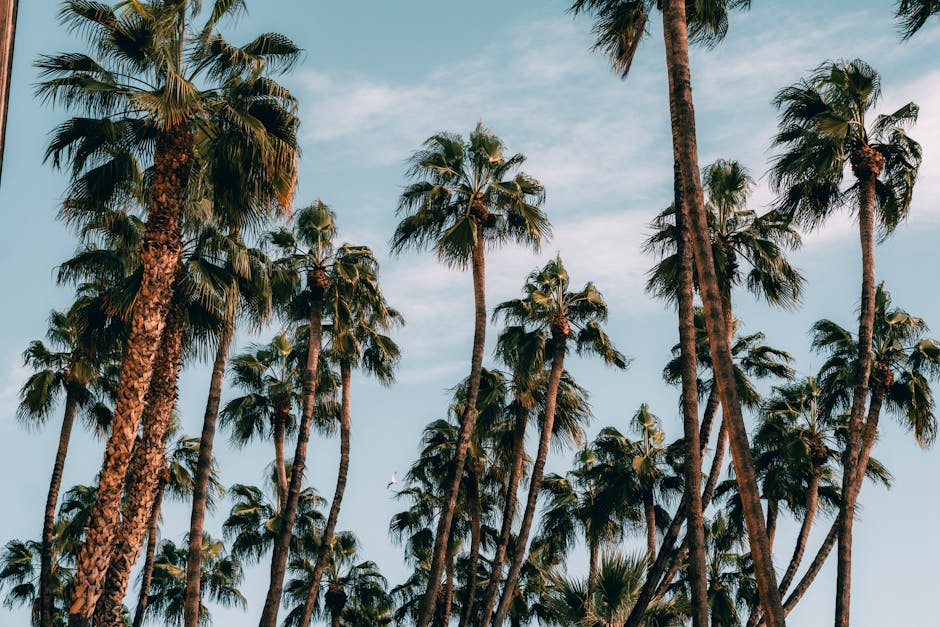 O Caminho para o Bem-Estar: Estratégias e Práticas para uma Vida Saudável