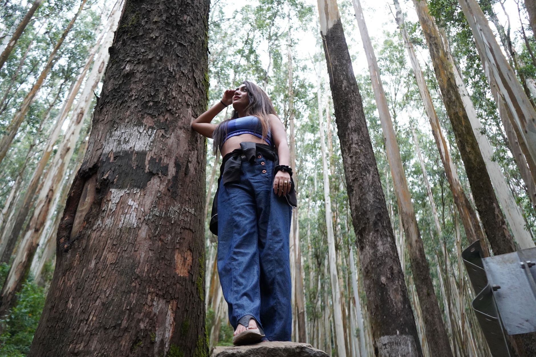 A young South Asian woman explores a lush eucalyptus forest in Ooty, India, standing confidently on a rock.