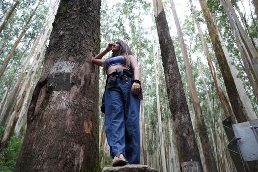 A young South Asian woman explores a lush eucalyptus forest in Ooty, India, standing confidently on a rock.