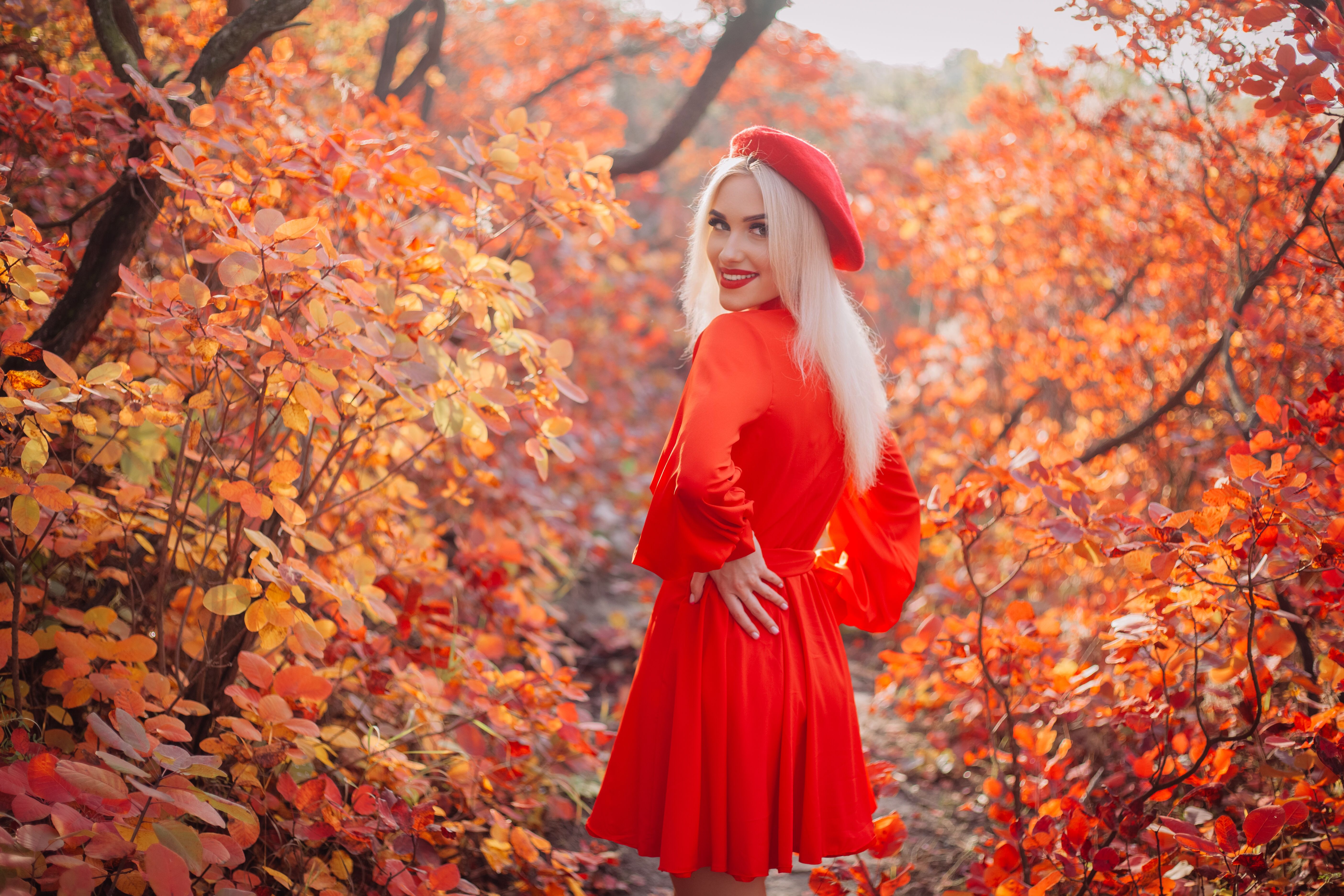 Woman in Red Dress Amidst Vibrant Fall Foliage · Free Stock Photo