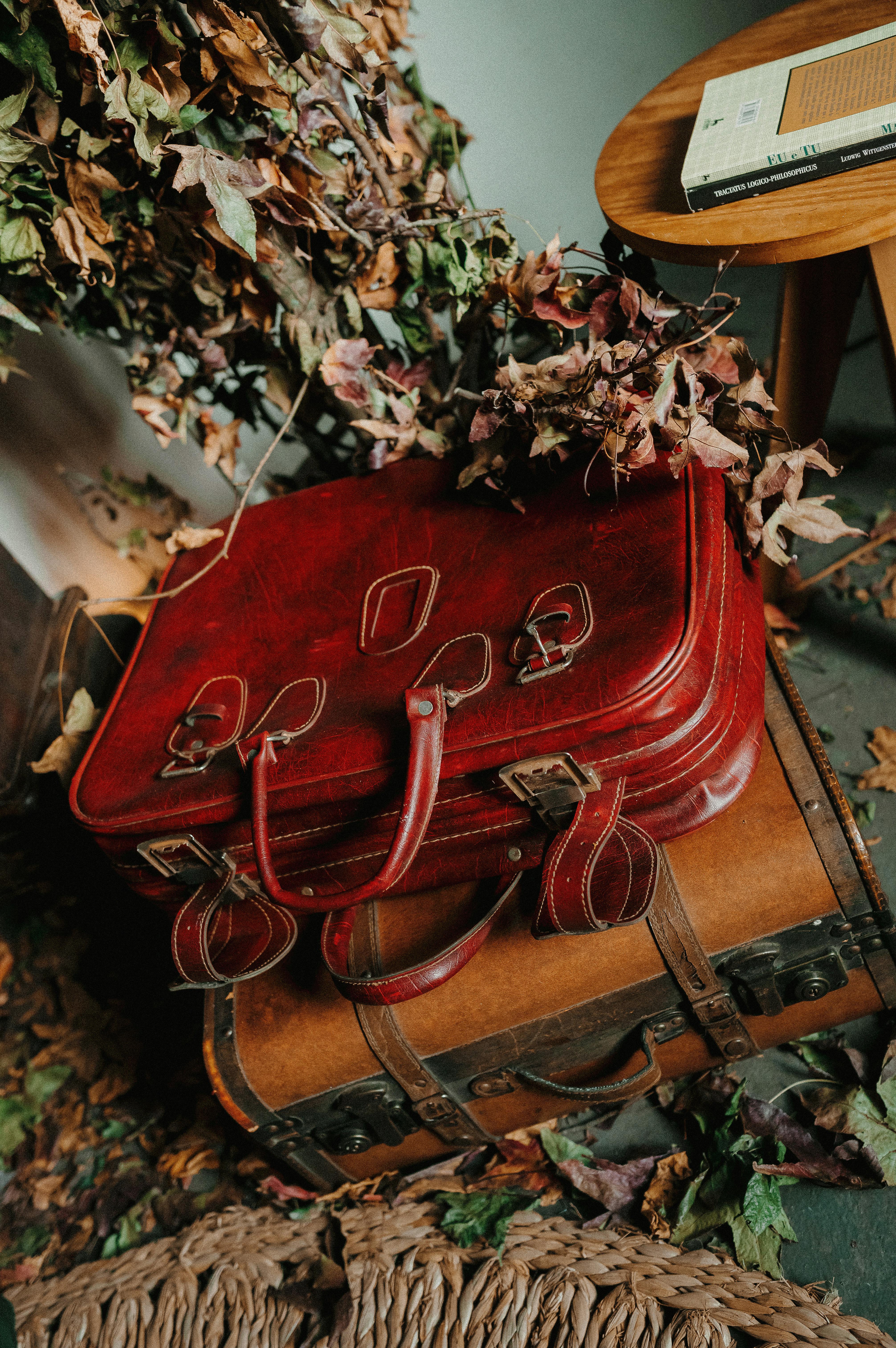 vintage suitcases and autumn leaves aesthetic