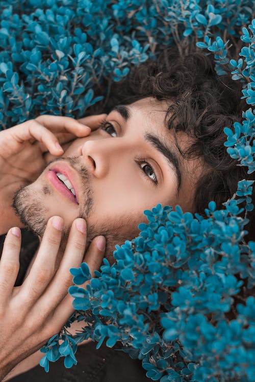 Free Man Lying on Plants Stock Photo