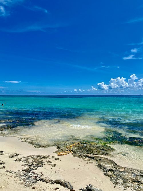 Free Crystal clear waters and blue sky on a Caribbean beach, perfect summer escape. Stock Photo