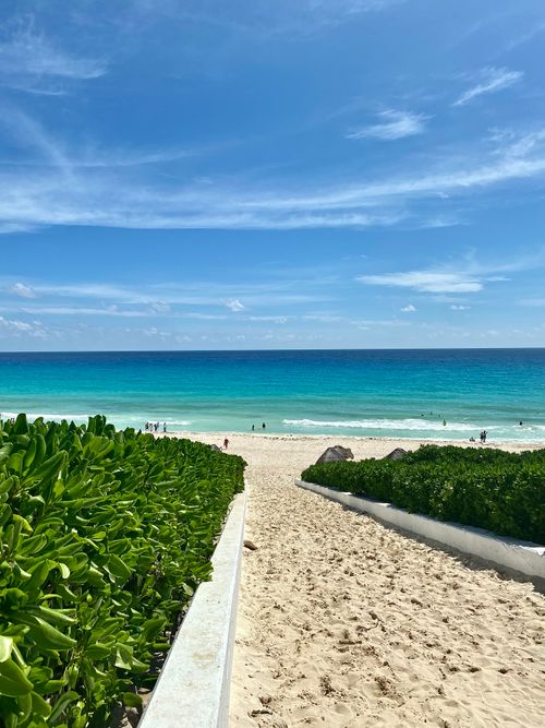 Free Explore the serene beauty of a Cancun beach with vibrant greens and clear blue waters under a sunny sky. Stock Photo