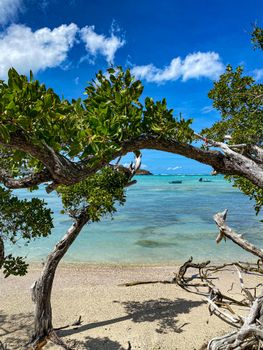Lush trees frame a tranquil tropical beach with clear turquoise waters and a blue sky.