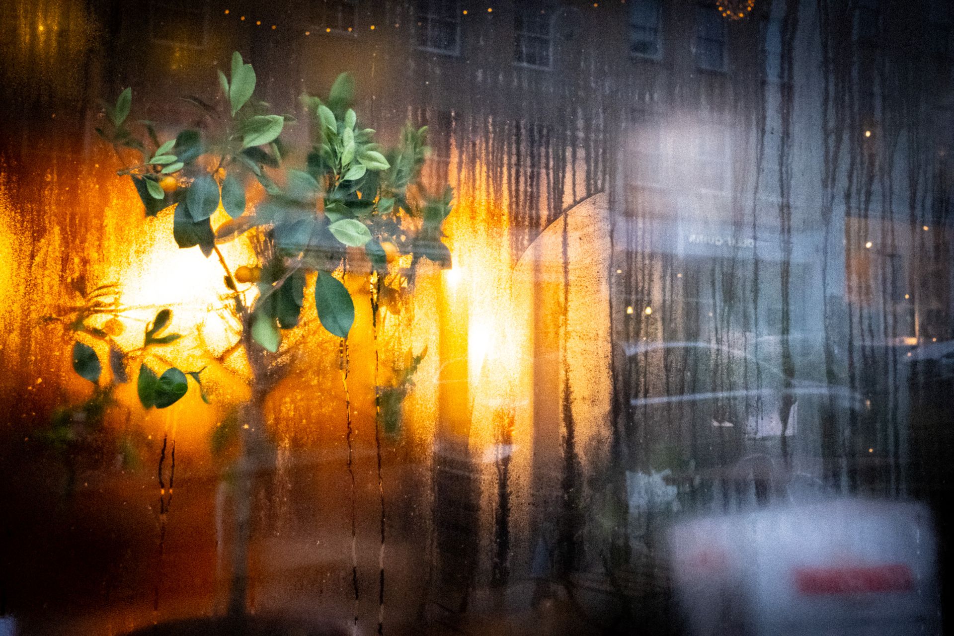 Window with condensation