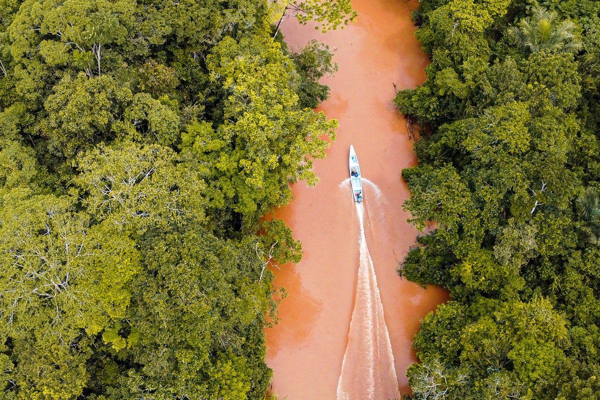 Travesía en Lancha por el Río Magdalena