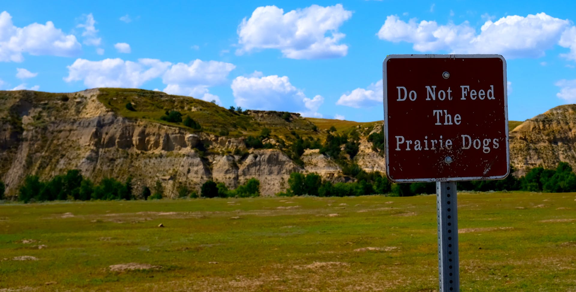 Do not feed the prairie dogs national Park sign mountains