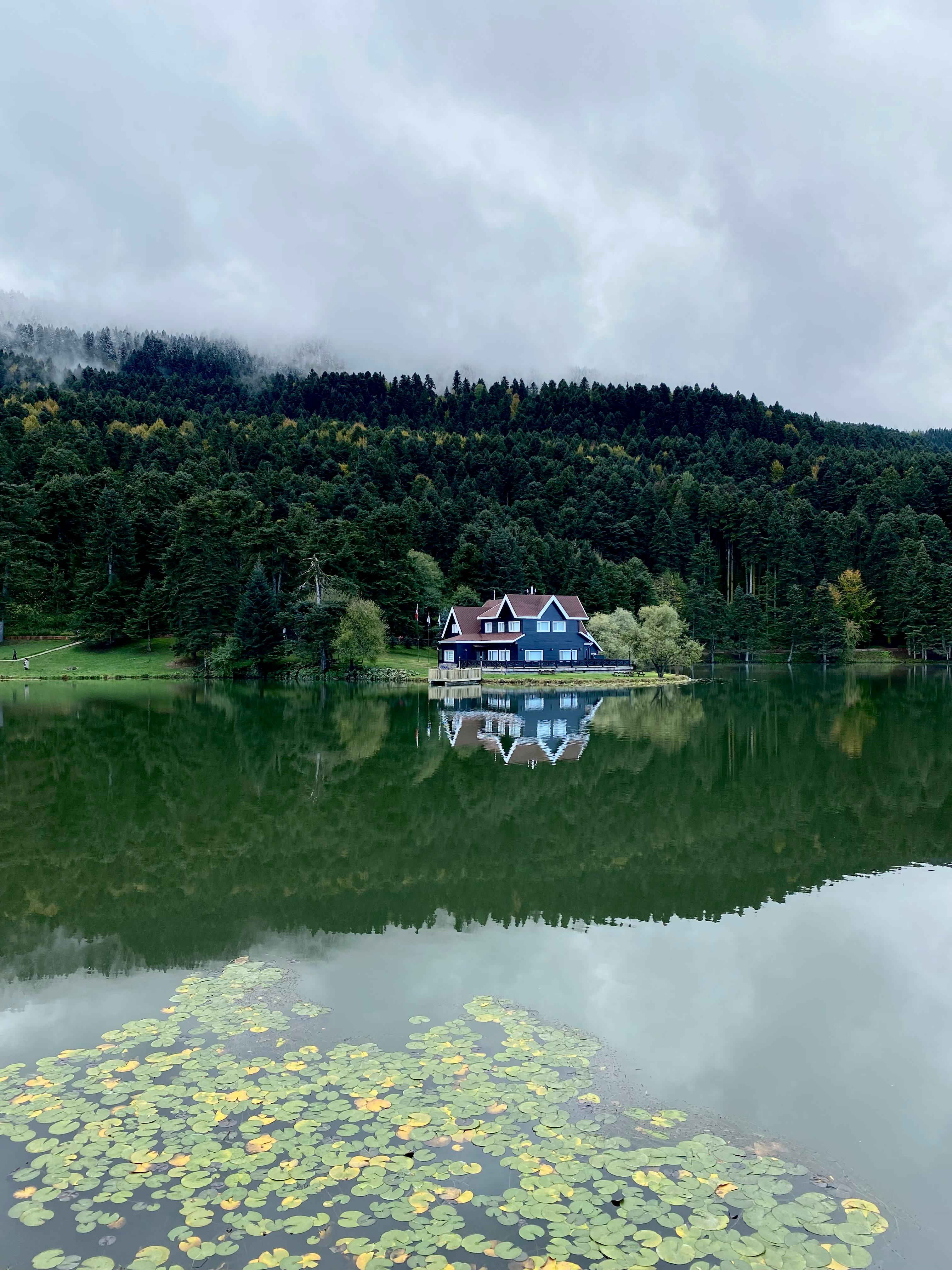 Picturesque lakefront cabin surrounded by Bolu's lush forest and tranquil waters, Türkiye.