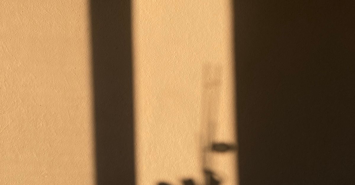 Sunlit Shadow Minimalist Plant Shadow on a Sunlit Wall · Free Stock Photo
