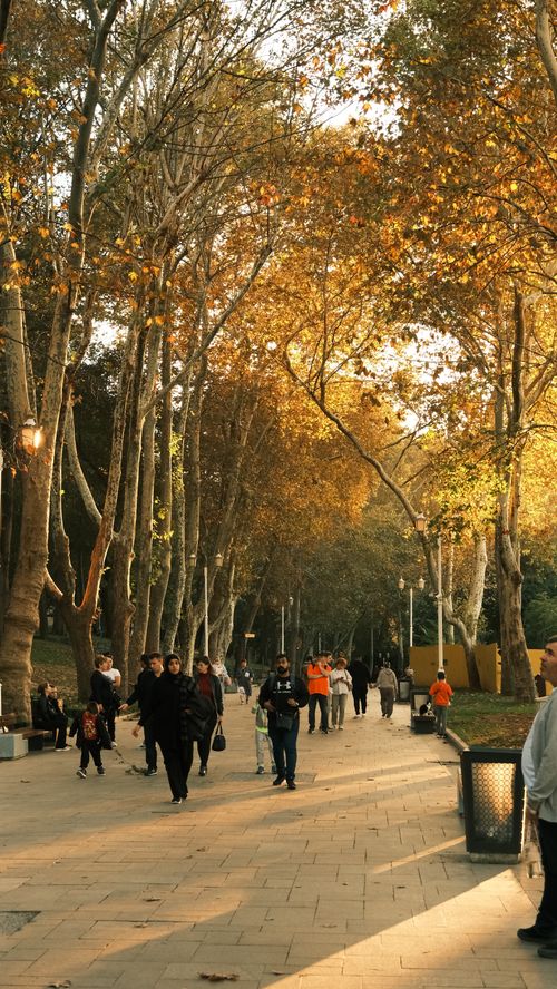Free A serene autumn scene featuring people walking along a tree-lined park pathway under golden leaves. Stock Photo