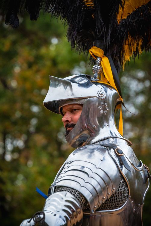 Knight Scarf Medieval Knight in Shining Armor Portrait · Free Stock Photo