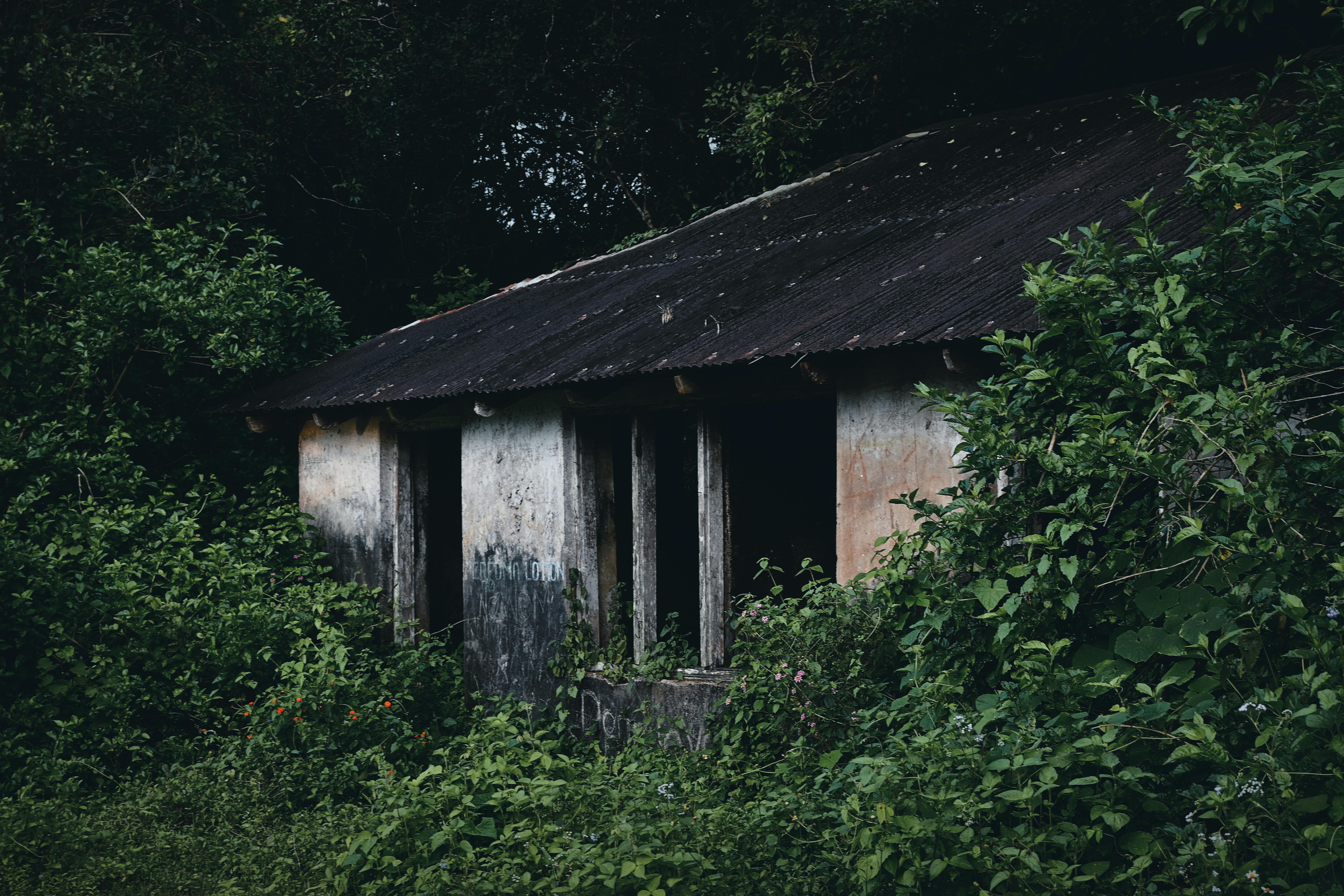 The Energy Vampires Haunting Your Home — Photo by Rajesh Raj on Pexels