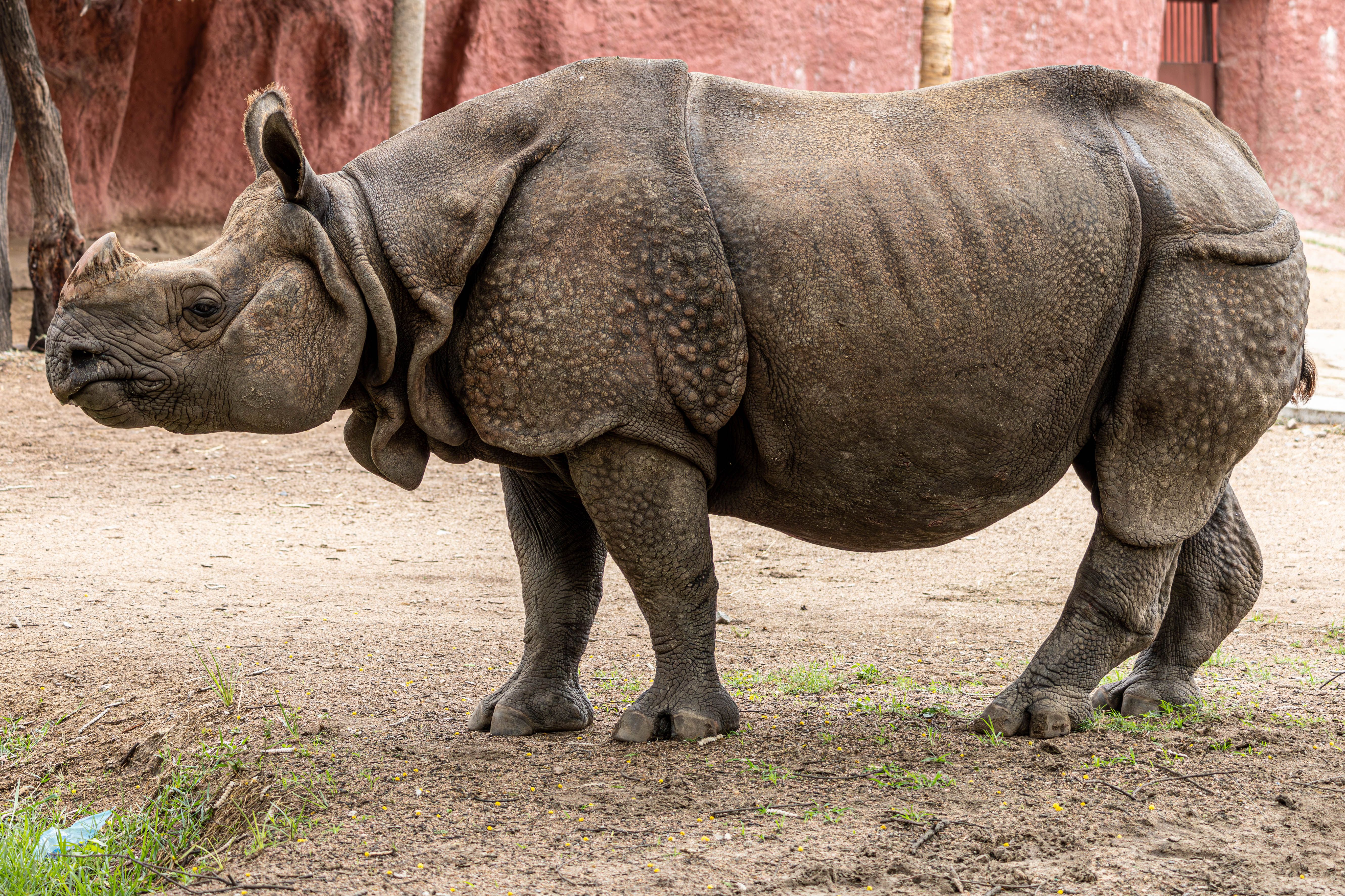 Chhatbir Zoo half-day trip