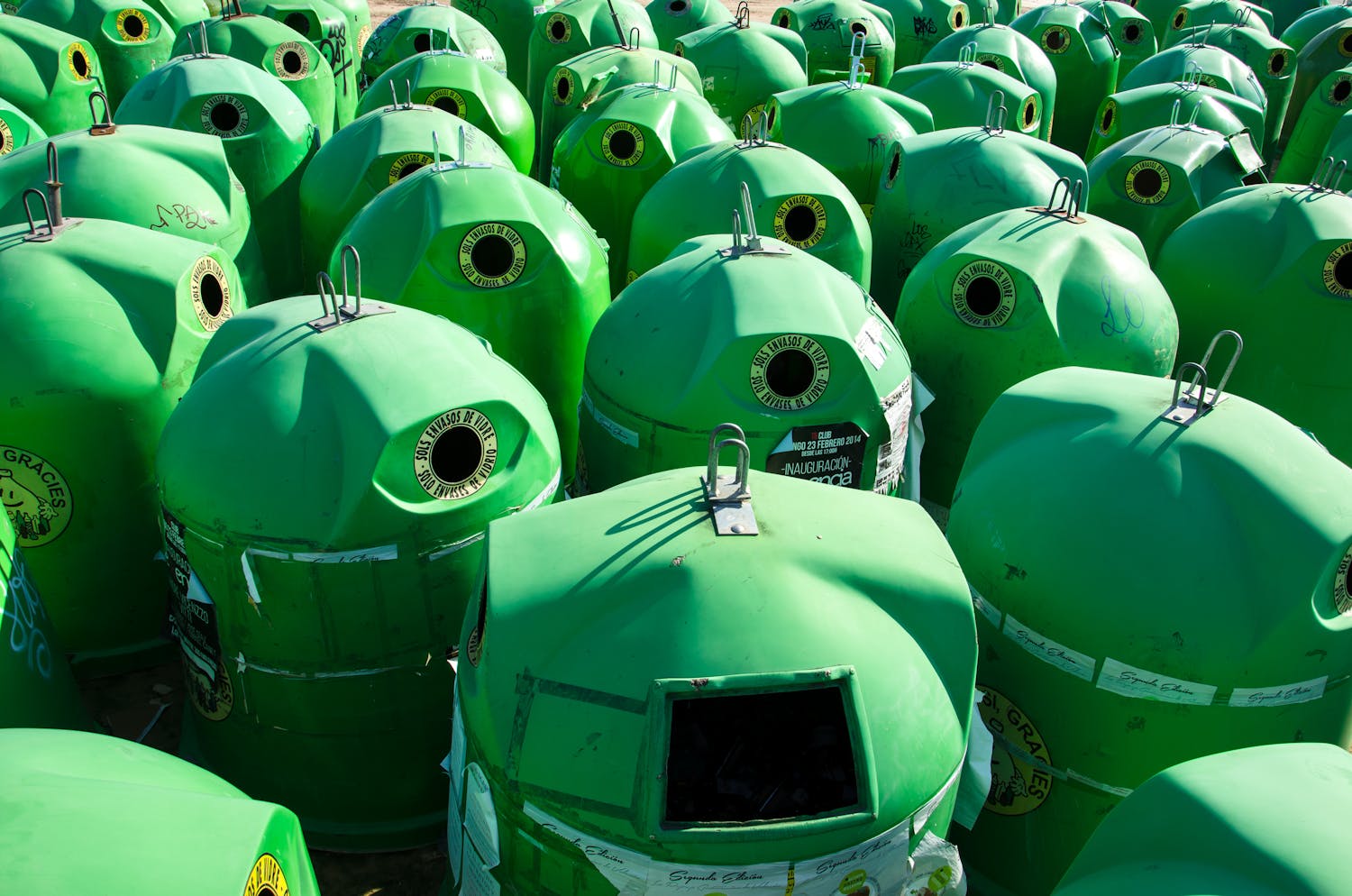 Numerous green recycling bins are arranged outdoors, catching sunlight on a clear day.