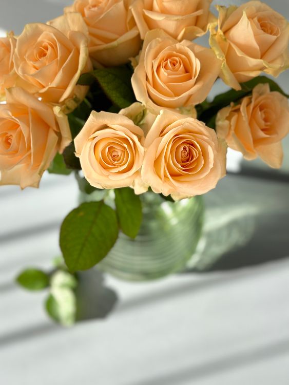 Elegant bouquet of peach roses in sunlight · Free Stock Photo