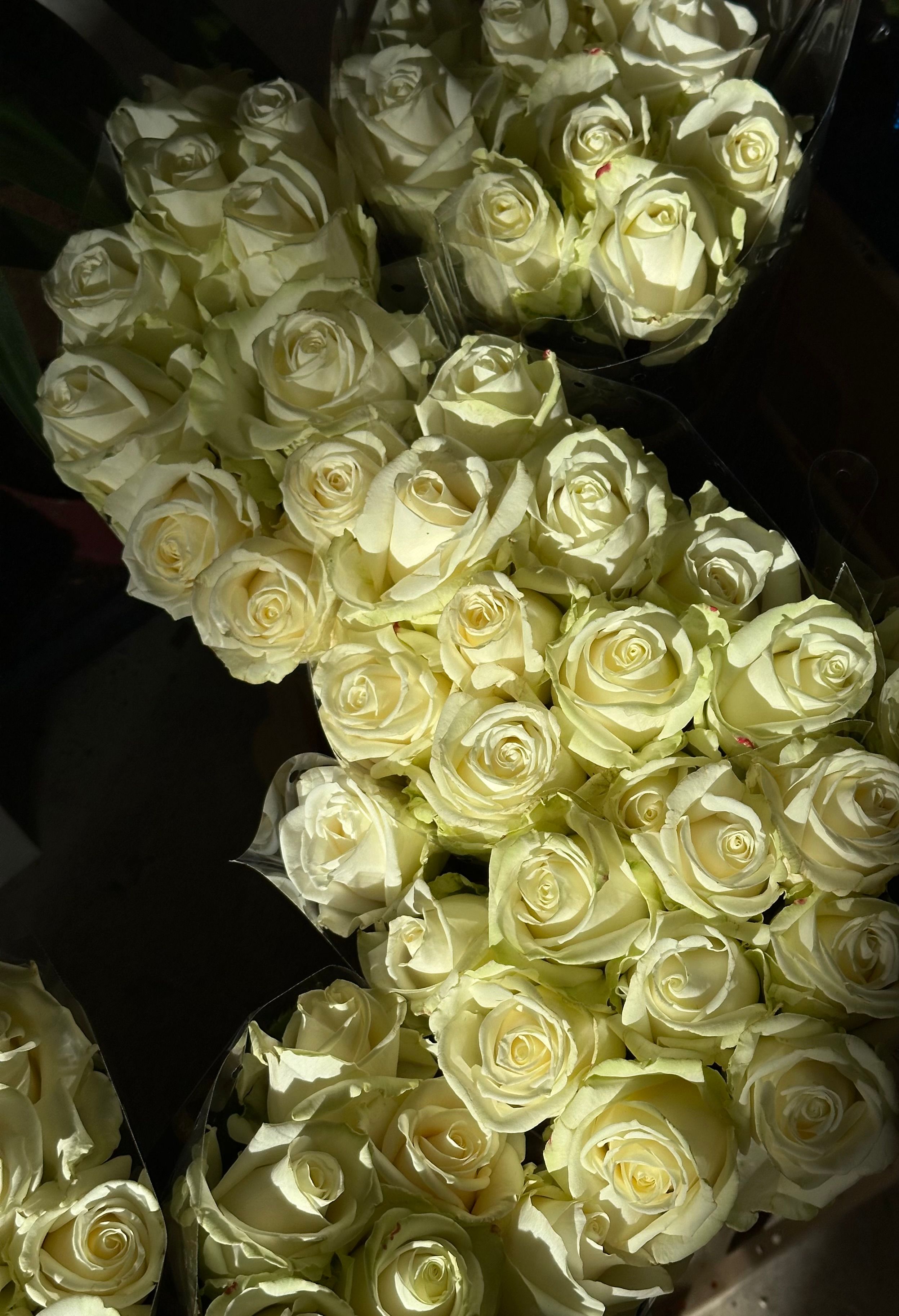 Elegant White Roses Bouquet in Soft Light · Free Stock Photo