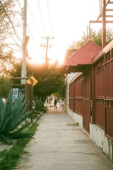 A quiet street scene with a red metal fence and sunlit sidewalk at sunset.
