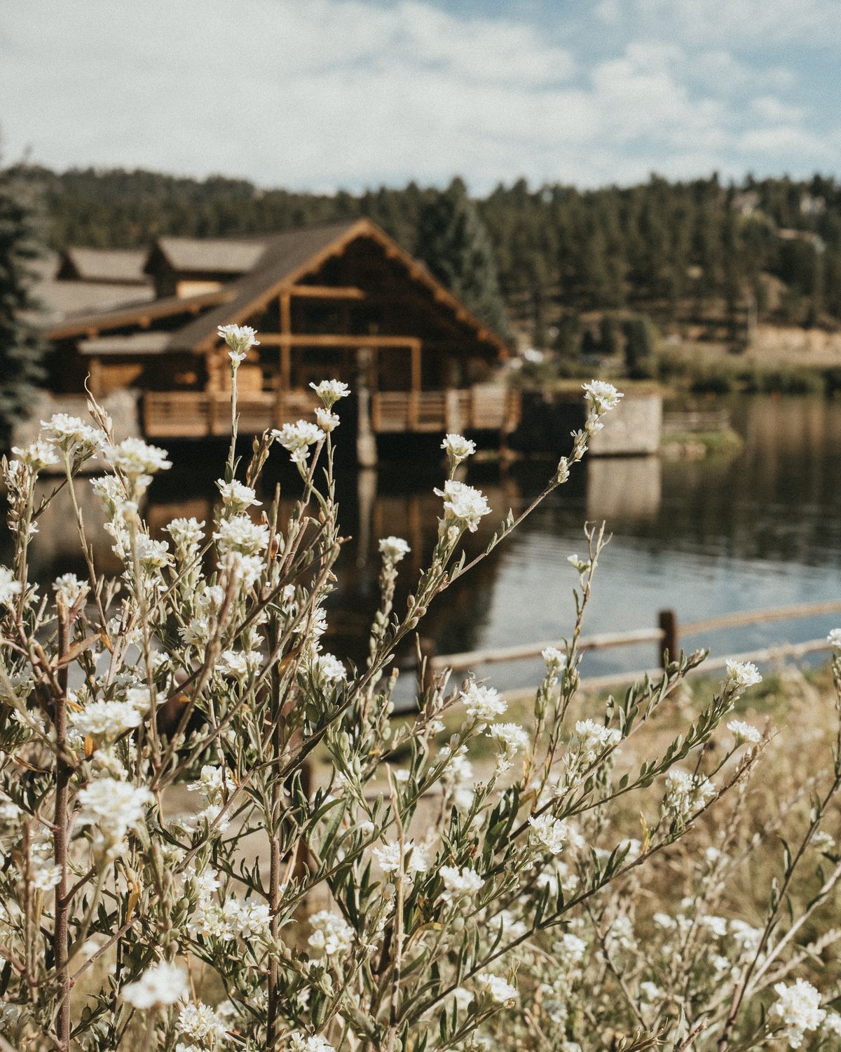 Log cabin beside a quiet lake at golden hour