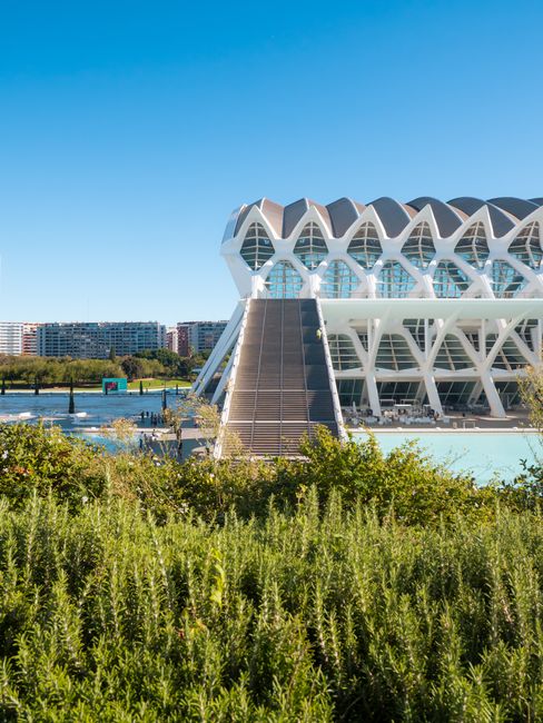 Modern architecture at the City of Arts and Sciences in Valencia, Spain, under a clear blue sky.