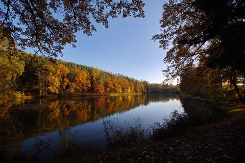 Free Tranquil autumn scene of a lake surrounded by colorful trees with clear blue sky. Stock Photo