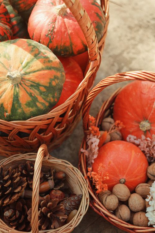 Free Warm-toned image featuring pumpkins, pine cones, walnuts, and acorns in wicker baskets, perfect for autumn decor. Stock Photo