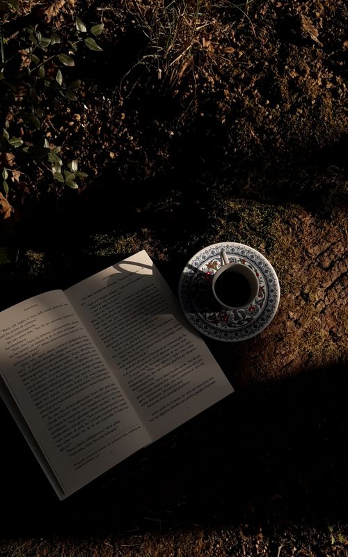 Free A vintage cup of coffee and an open book resting on rustic soil outdoors. Stock Photo