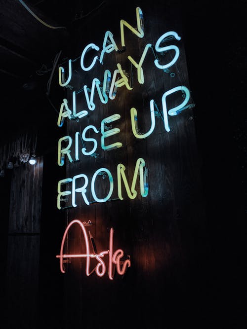 Free stock photo of rise up from ash Stock Photo