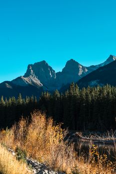 Stunning landscape of Alberta's Canadian Rockies with pine forests and blue skies in Banff National Park.