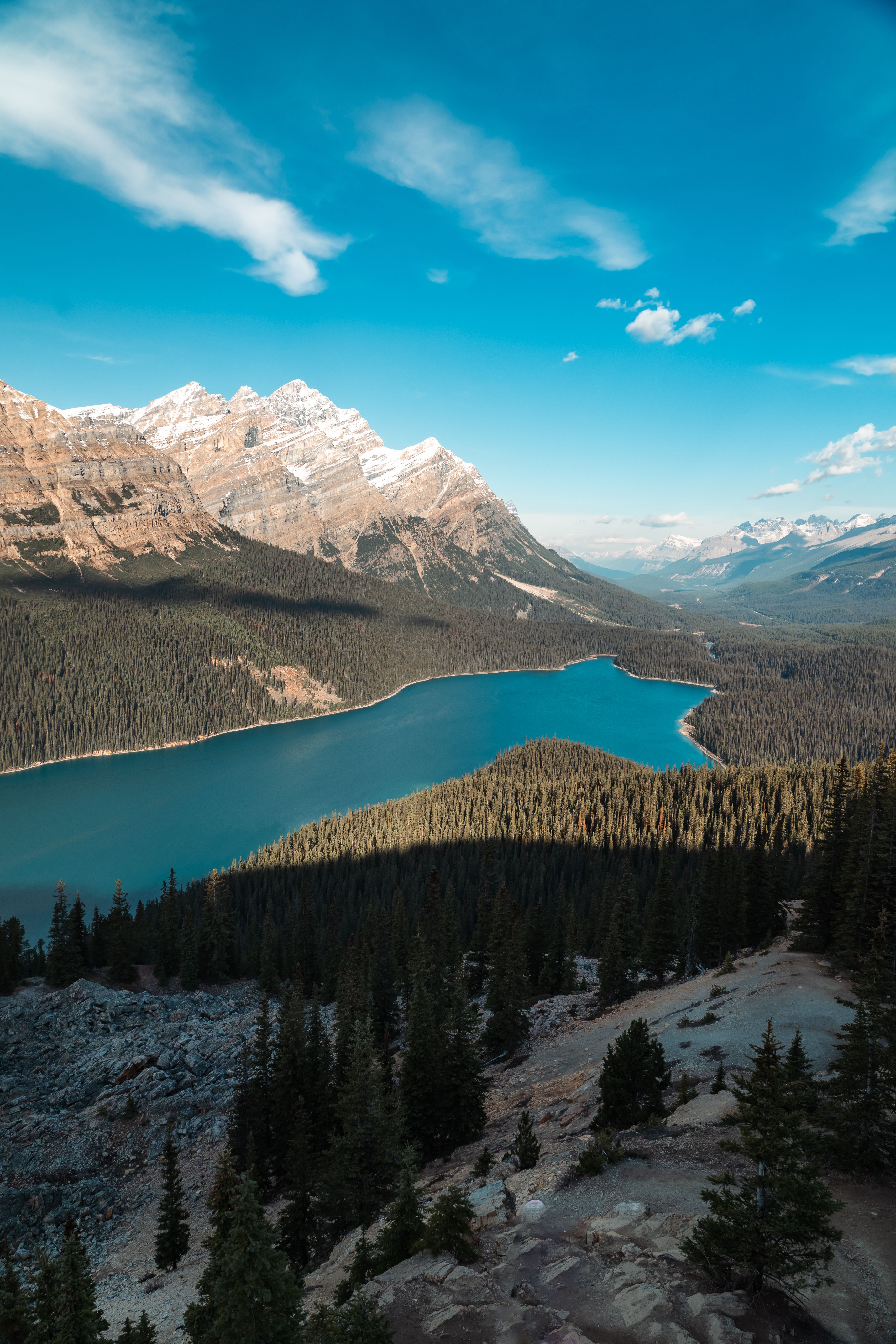 Stunning View of Peyto Lake in Banff National Park · Free Stock Photo
