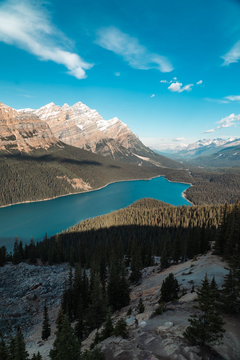 Stunning View of Peyto Lake in Banff National Park · Free Stock Photo