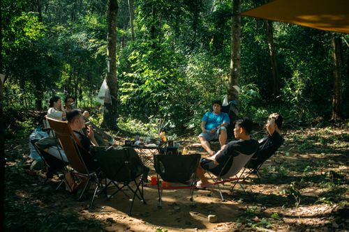 Free A group of friends enjoying a relaxing camping trip in a lush, sunlit forest setting. Stock Photo